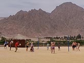  ���������� ����� "Radisson SAS RESORT" (������), 2008�. - ����� �.�.������. ��������� �����������... (1024�768=102kb)