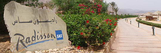  ���������� ����� "Radisson SAS RESORT", 2008�. - ����� �.�.������.  ��������� �����������... (1024�768=231191kb) 