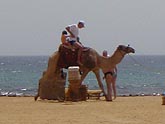  ���� ����� "Radisson SAS RESORT" (������), 2008�. - ����� �.�.������. ��������� �����������... (1024�768=130kb)