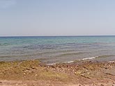 ���� ����� "Radisson SAS RESORT" (������), 2008�. - ����� �.�.������. ��������� �����������... (1024�768=162kb)