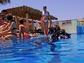  ������� �� ���������� ����� "Radisson SAS RESORT" (������), 2008�. - ����� �.�.������. ��������� �����������... (1024�768=186kb)