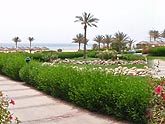  ���������� ����� "Radisson SAS RESORT" (������), 2008�. - ����� �.�.������. ��������� �����������... (1024�768=103kb)