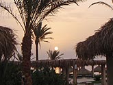  ����� �� ����� ����� "Radisson SAS RESORT" (������), 2008�. - ����� �.�.������. ��������� �����������... (1024�768=161kb)