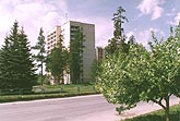 ���������... (195kb)