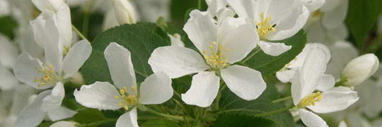 ���������... (157kb)