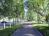  ����� ���������, ���� 2006�. - ����� ������ �.�.���������. ��������� �����������...(419kb) 